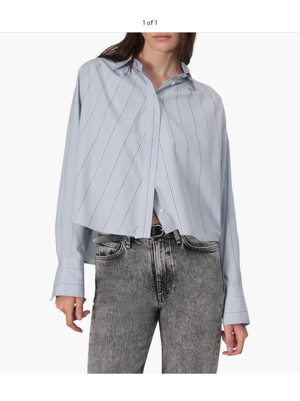 rag & bone Martha Stripe Cotton Poplin button up, size xl